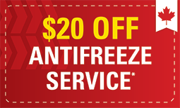 $20 Off Antifreeze